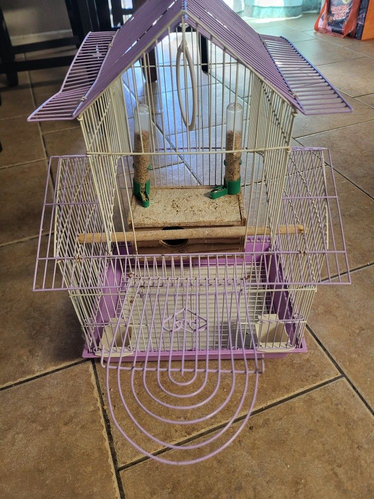 Bird Cage