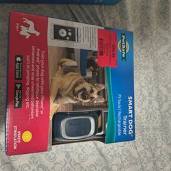 Dog trainer