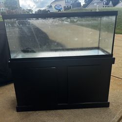 Huge 100 Gallon Aquarium 
