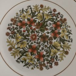Vintage - Corelle  Indian Summer Pattern