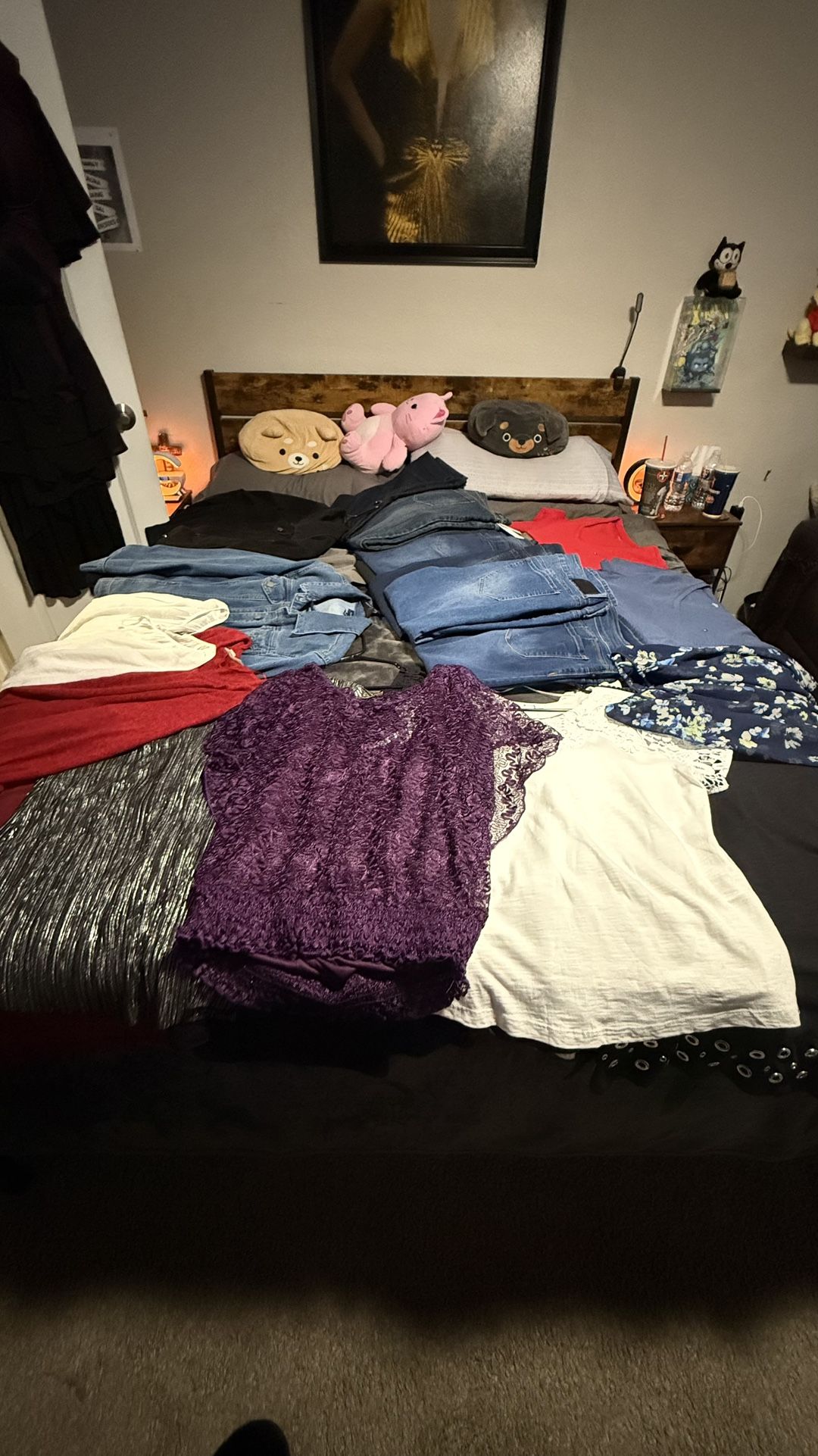 Women Clothing Semi -new 
