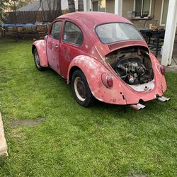 1967 Vw bug