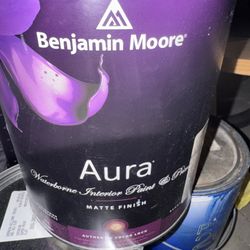 1 Gal Aura Paint AF-35