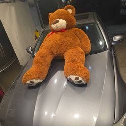 Giant Teddy Bear