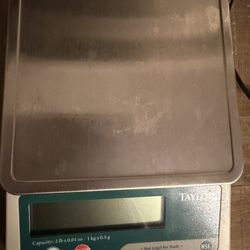 Taylor TE32FT Digital Portion Control Scale, Stainless Steel  - 2 lb
