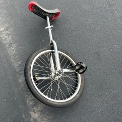 Unicycle 