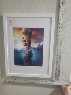 $20    17.5 x 13.5 White Framed Wall Art  or " make an offer"