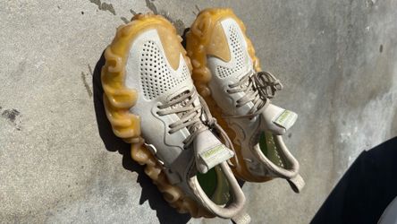Crocs pollex