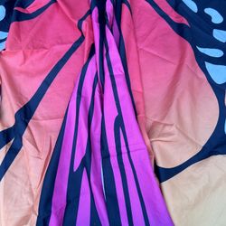 Beautiful adult Butterfly 🦋 Cape