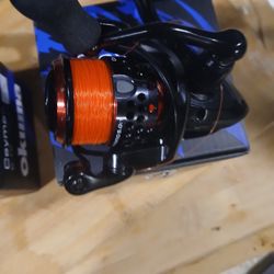 Fishing Reels