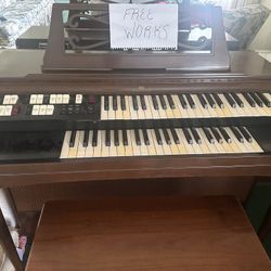 Organ