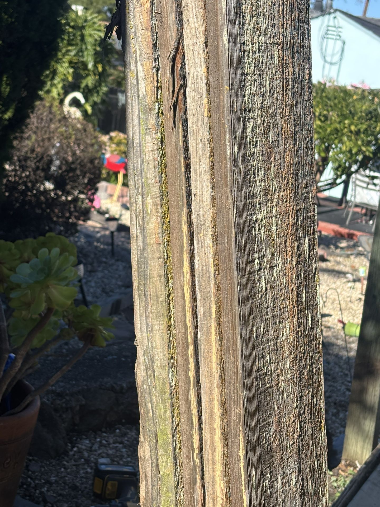 Redwood Fence Boards