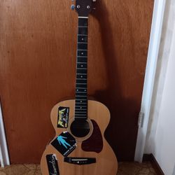 Ibanez Guitar