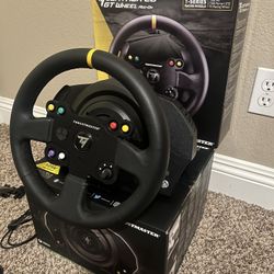 Thrustmaster Wheel And Servo Base