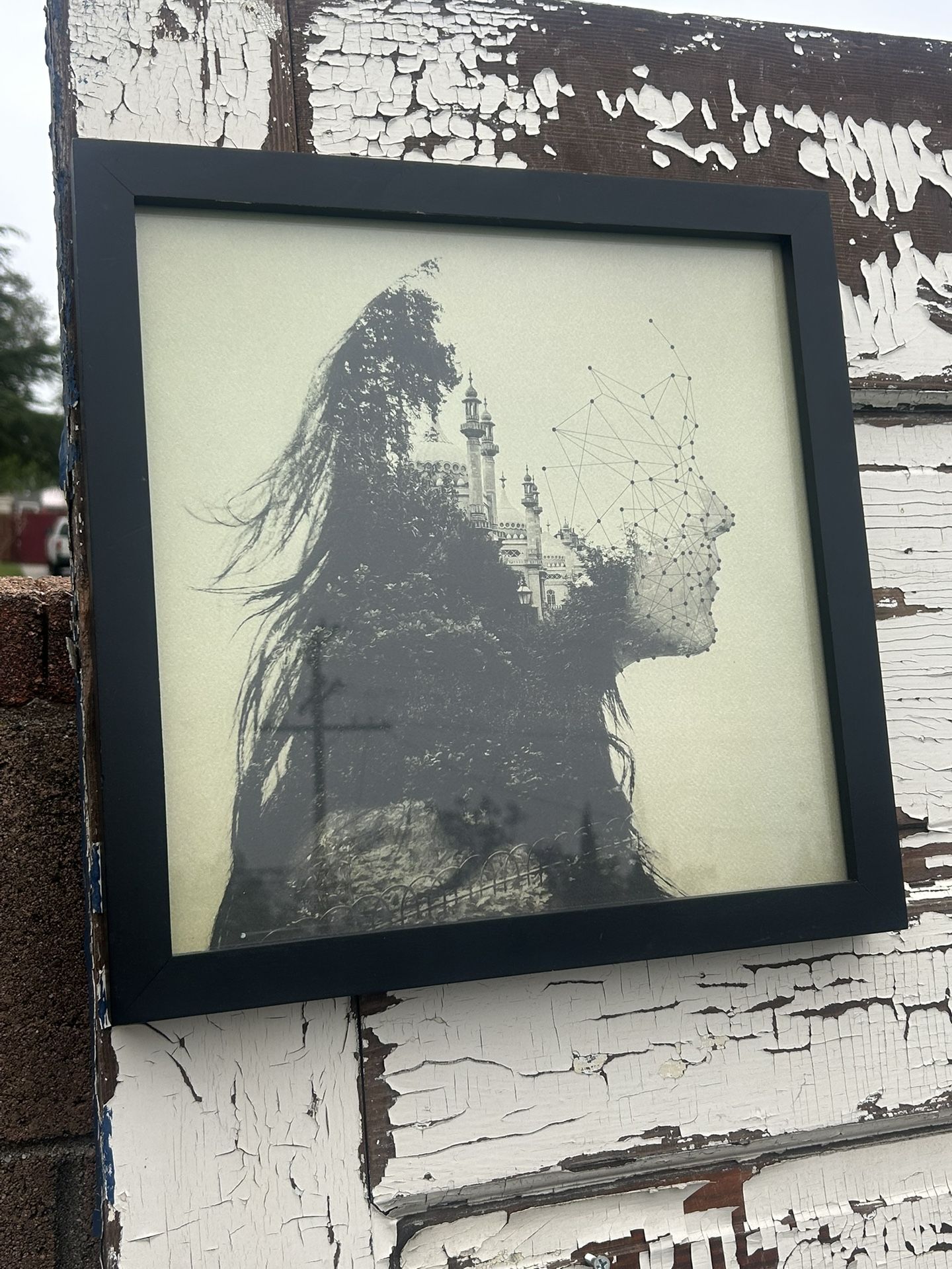 Connect the dots; The World Inside Us Photography Art by Dan Mountford: