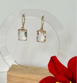 Crystal Clear Earrings