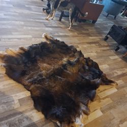 Vintage Haunted BEAR RUG 