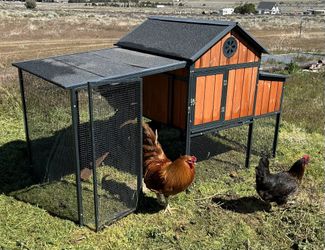 Producer's Pride Sentinel Chicken Coop, 6 Chicken Capacity