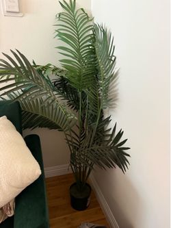 Large fake palm