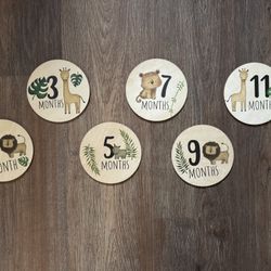 Wooden Monthly Milestone Discs