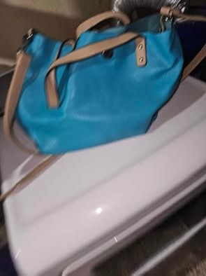 Blue And Tan Purse