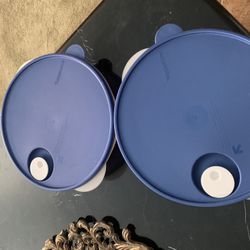 Topperware Dish Lunch 91/2 Wide One $12.00 Or 2x $20