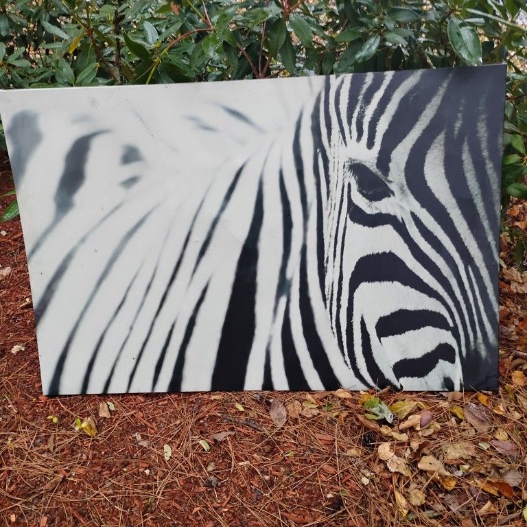 Zebra Art Work 