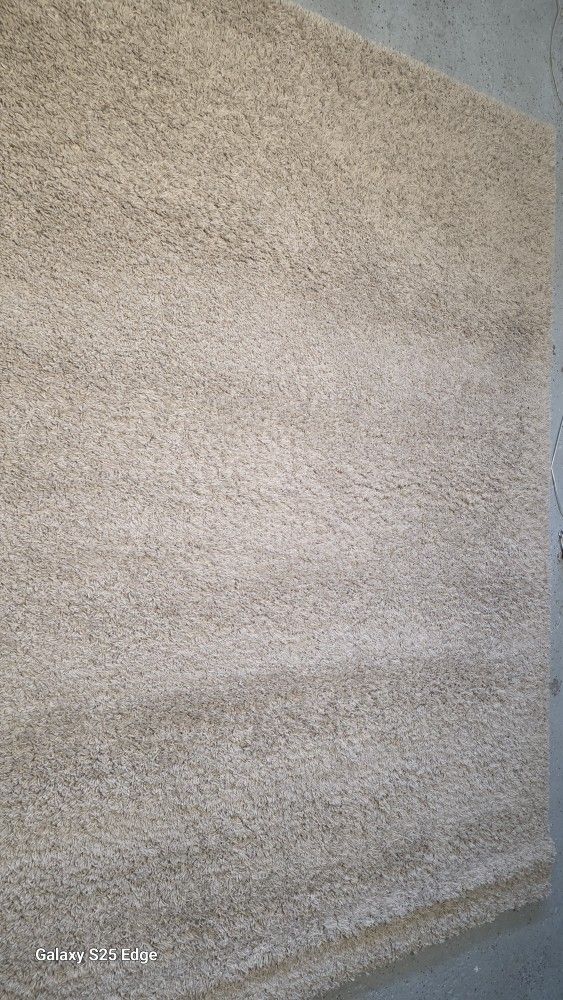 Area Rug