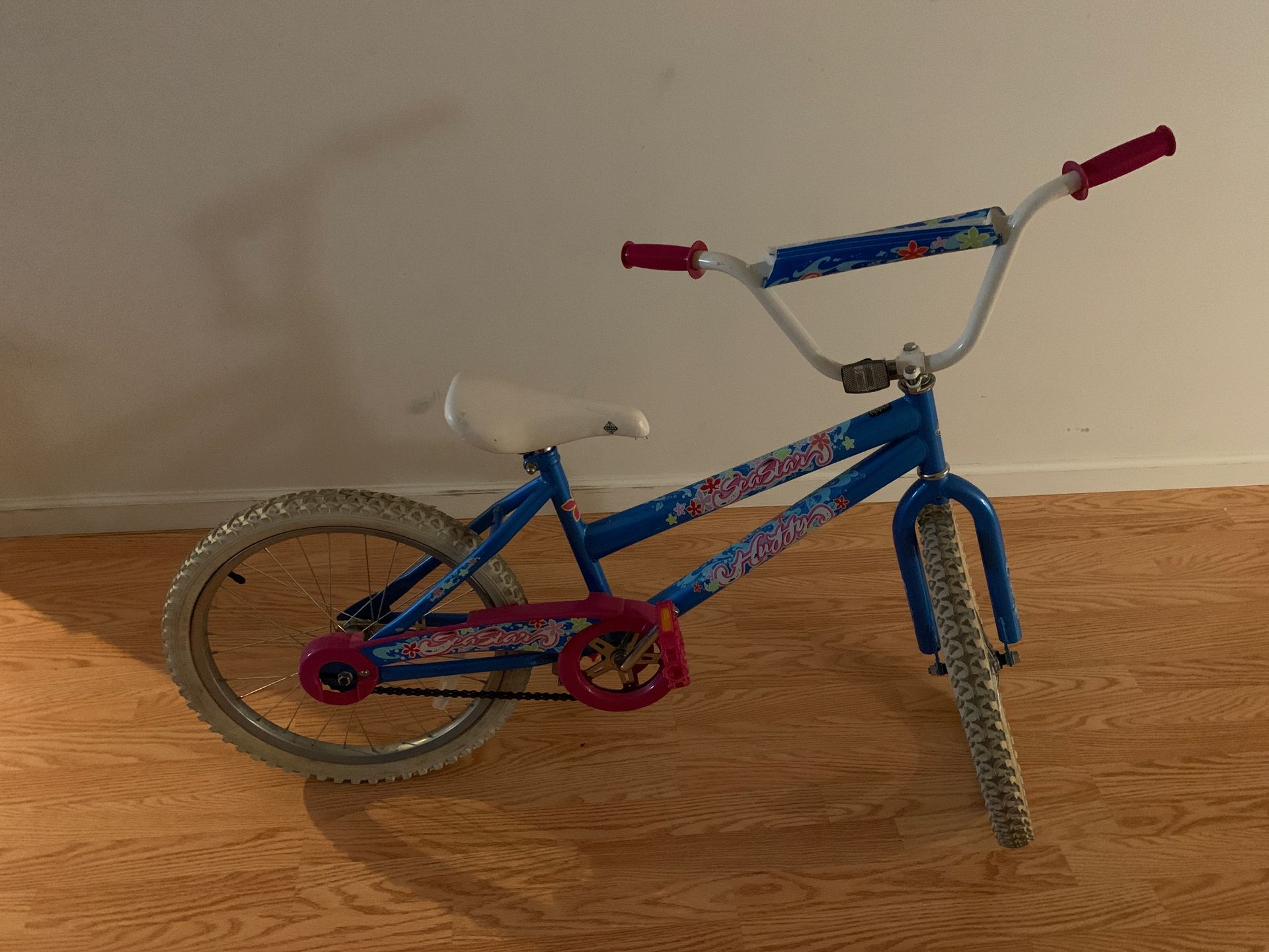 Bike for kids ages 9+