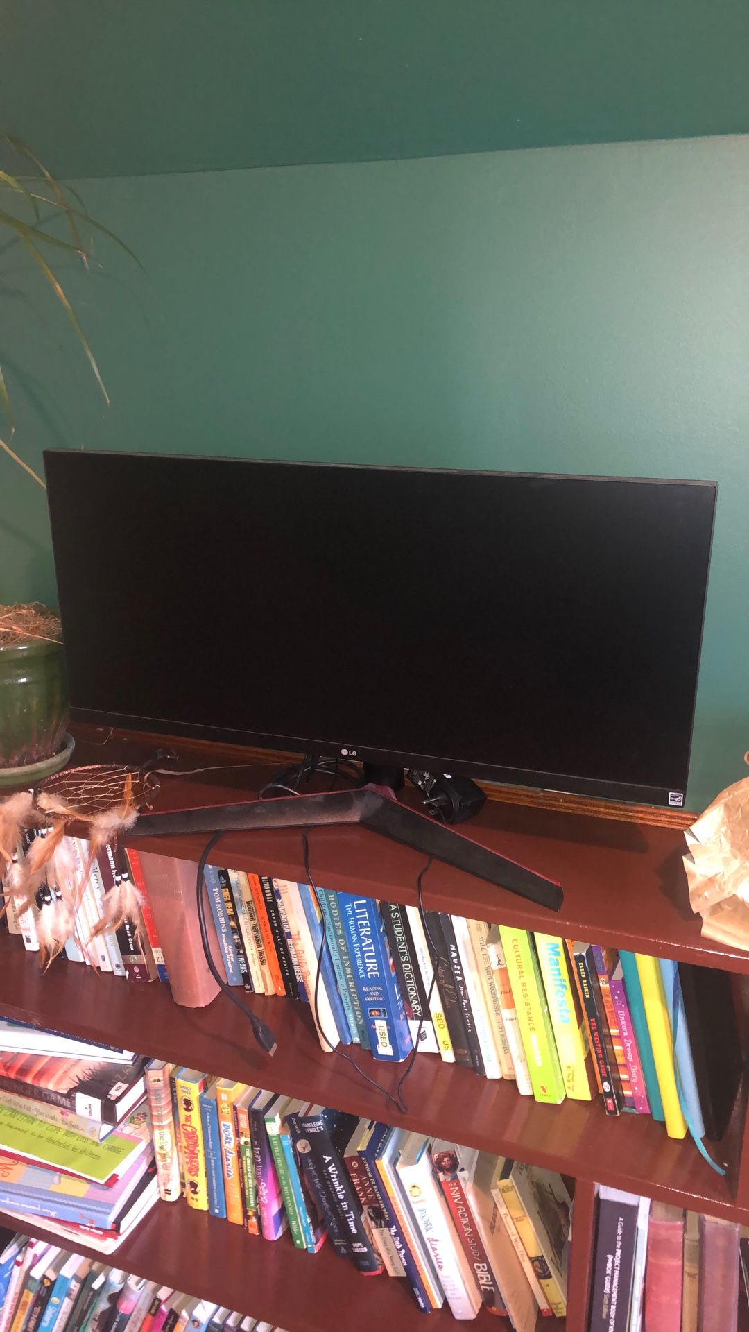 Ultra wide 29”LG Computer Monitor