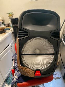 Speaker