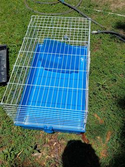 Bantam chicken coops, crele, pumkin, splash, more colors