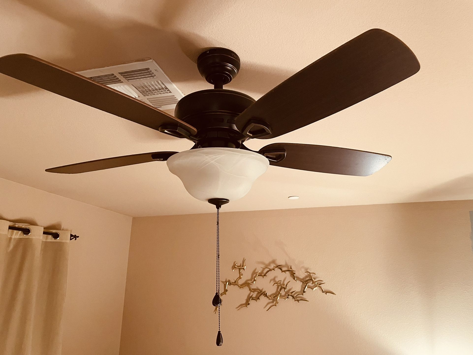 Ceiling Fan Las Vegas Shelly Lighting