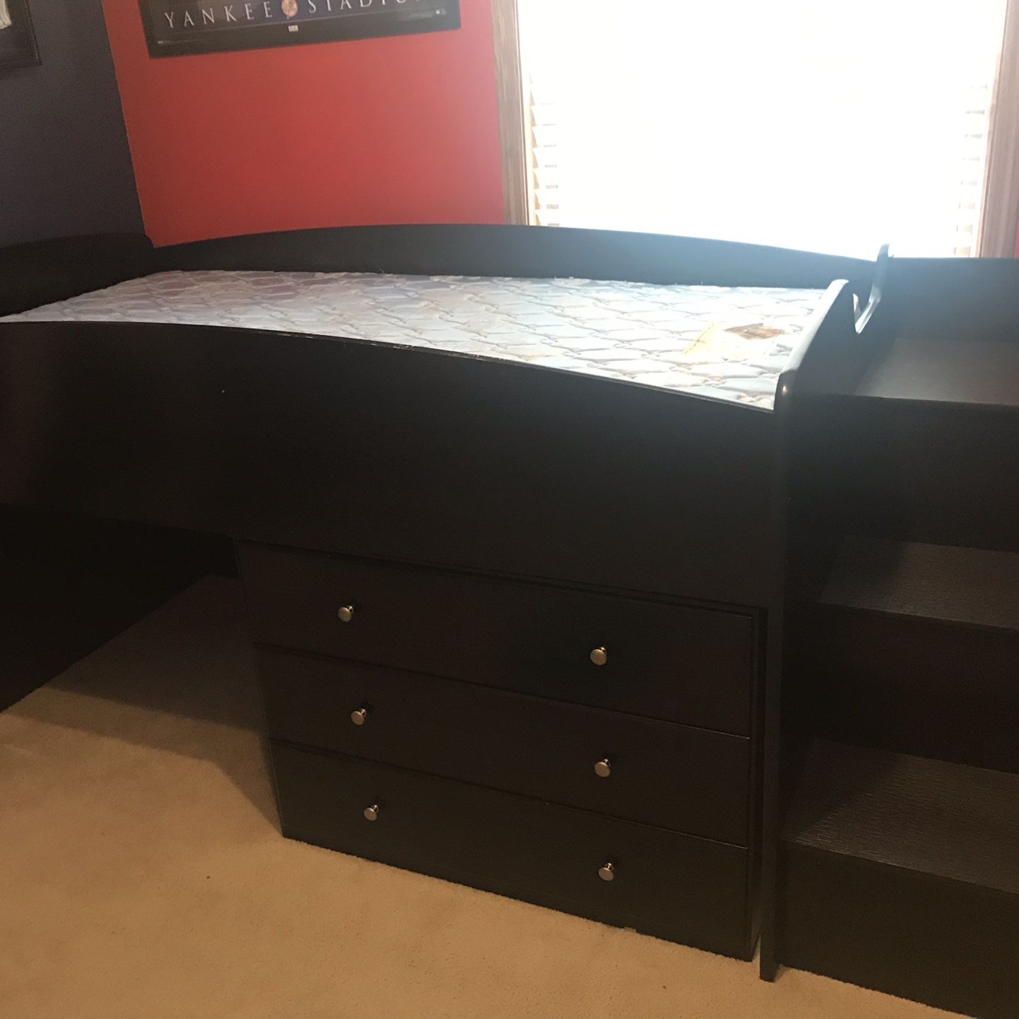 Expresso Twin Loft Bed