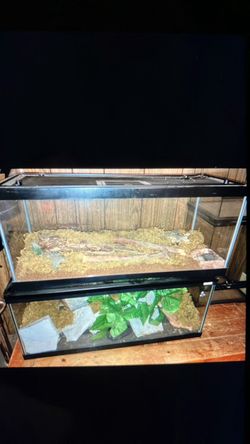 Terrarium set