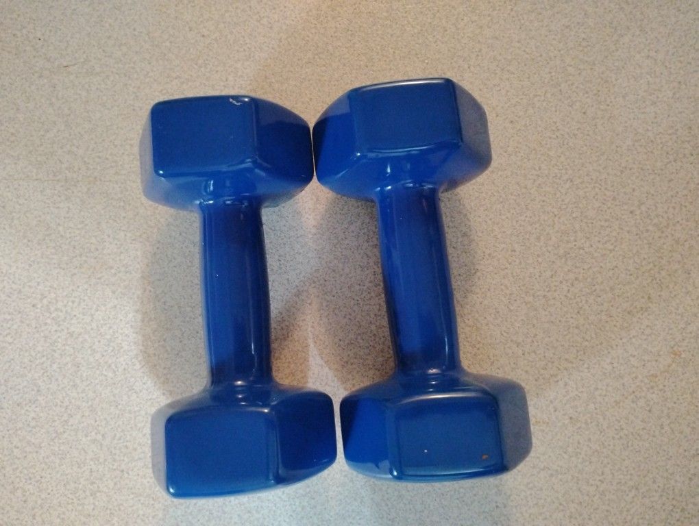 12 Lb Dumbbell Set
