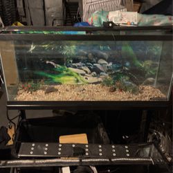 Fish Tank  and Stand 75 Gallon 