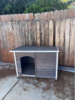 Dog House