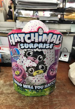 Hatchimals surprise