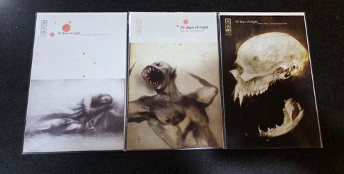 30 DAYS OF NIGHT #1-3 SET IDW 2002 NILES TEMPLESMITH (#1 2ND PRINT) 2 3 VF
