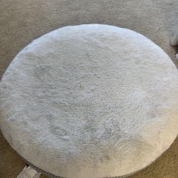 Dog Bed 