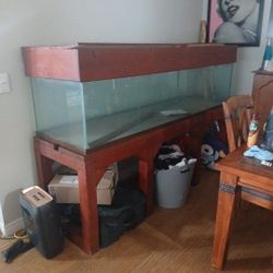 Fish Tank 141 Gallon