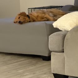 Milwaukee Tool 5 Pack Edge Trimmer Twisted Line 0.095" x 20 ft Edger 49-16-2782