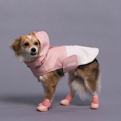 Pet Clothes 