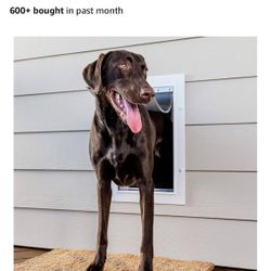 WALL ENTRY PET DOOR