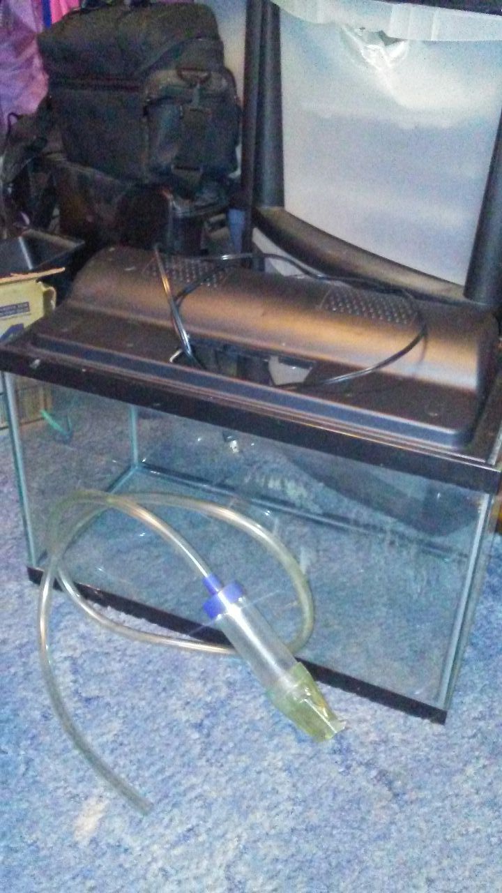 Two 10 gallon fish tanks with tops lights filters