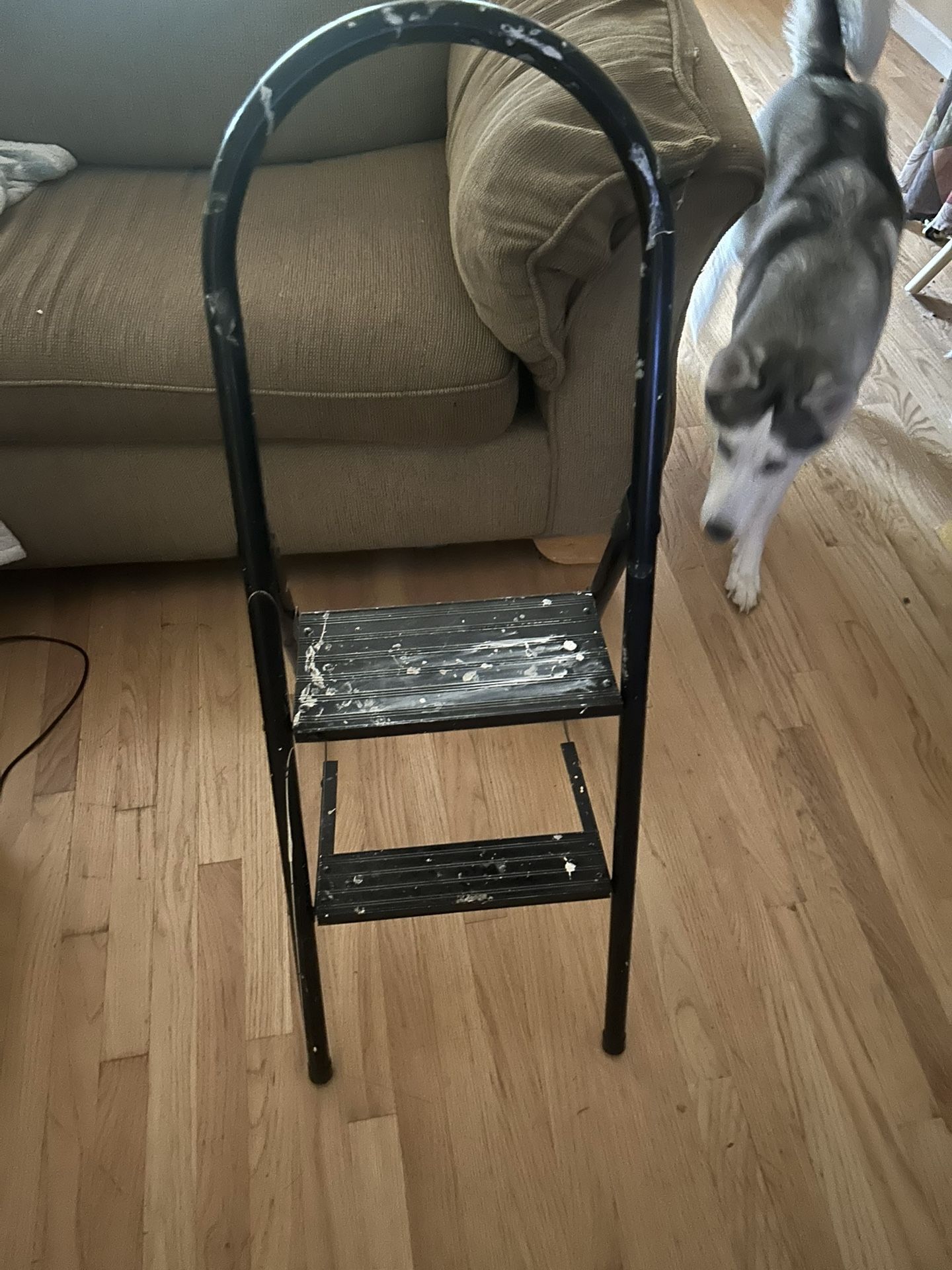 Stepping Stool 