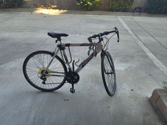 Racing-Style Bike