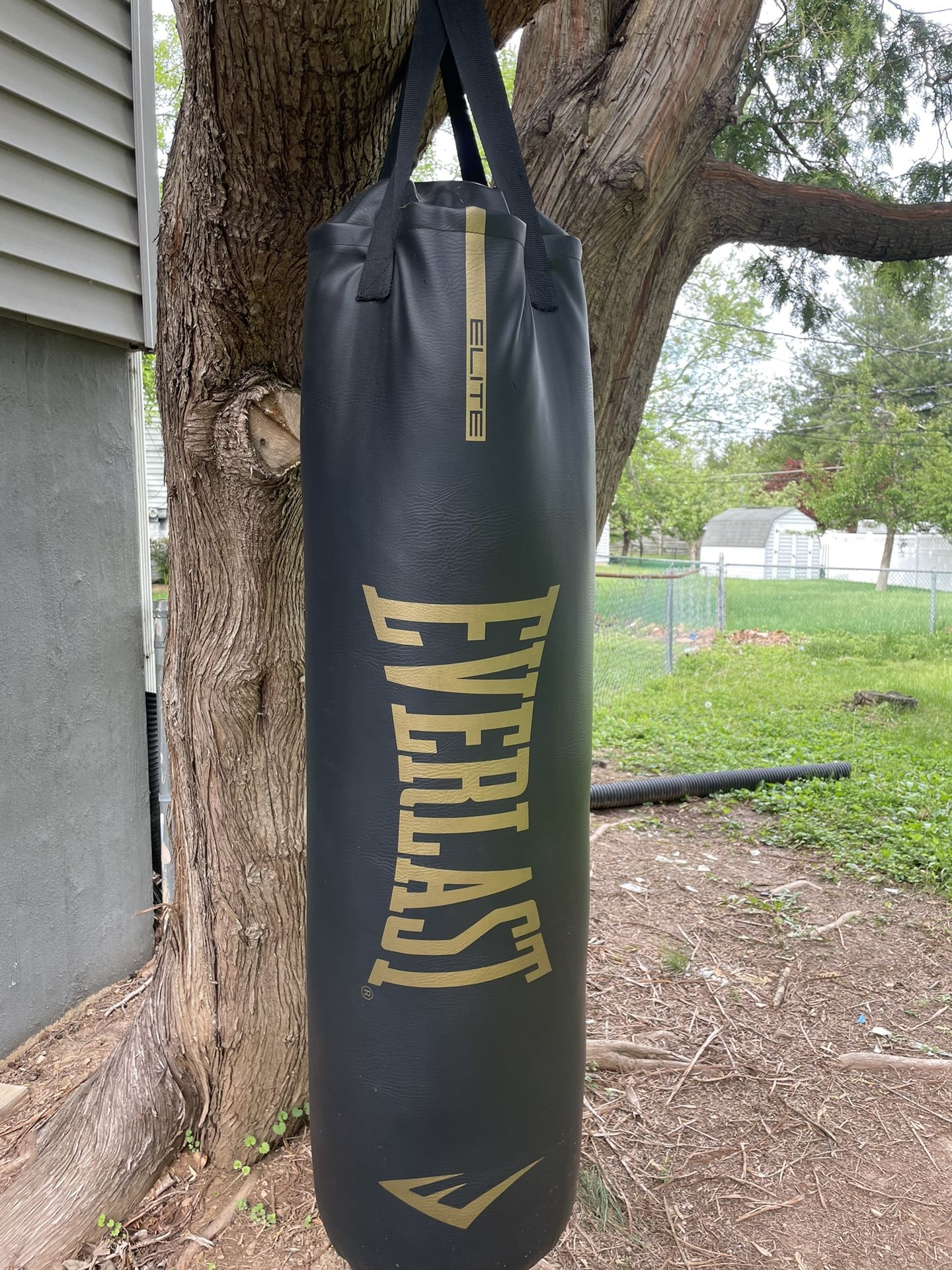 Everlast punching bag 100 lbs or 80 might be wrong just never used it and forgot about it $70 OBO
