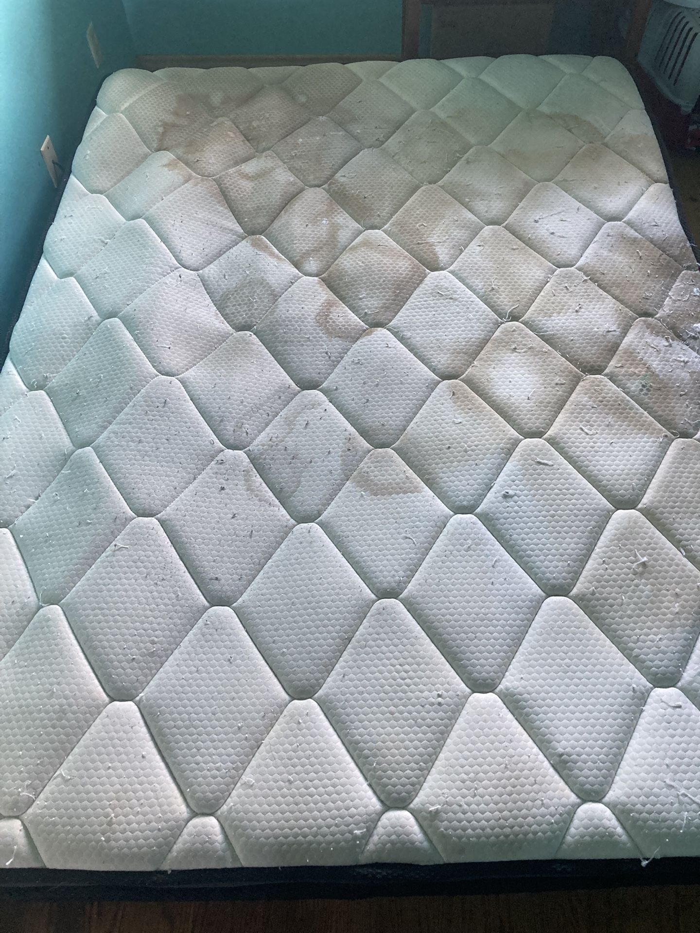 Free Queen Size Mattress